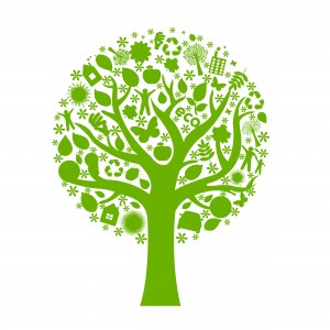 shutterstock_78483775