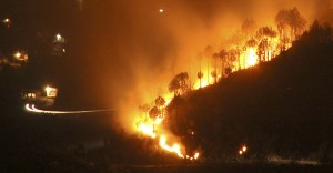 Trees on the slopes of Totu forest burn during a forest fire, on the outskirts of the northern Indian hill town of Shimla