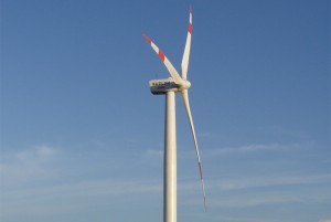 suzlon6