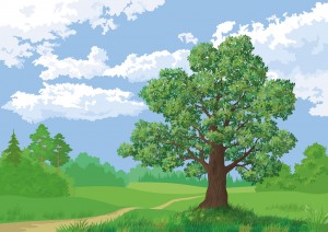 savingindianforest1