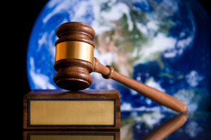 Environmental Law India 1