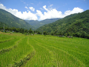 Sikkim2