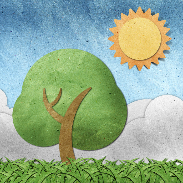 Ten things to remember before going Solar