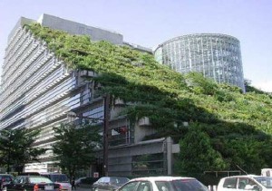 Green Building Certification India