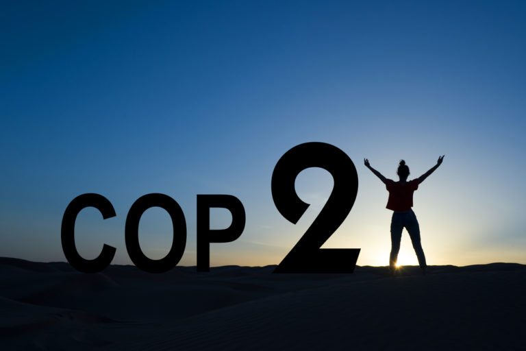 India’s Tryst with COP21: Deal gets the green light but can we put if off?