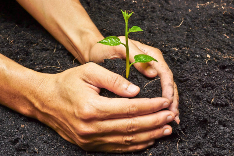 BEV – The Big Investor and a Really Long-Term Investment
