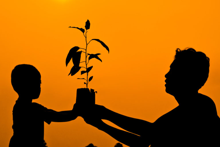 Can corporates be good foster parents? Canon tried and shares
