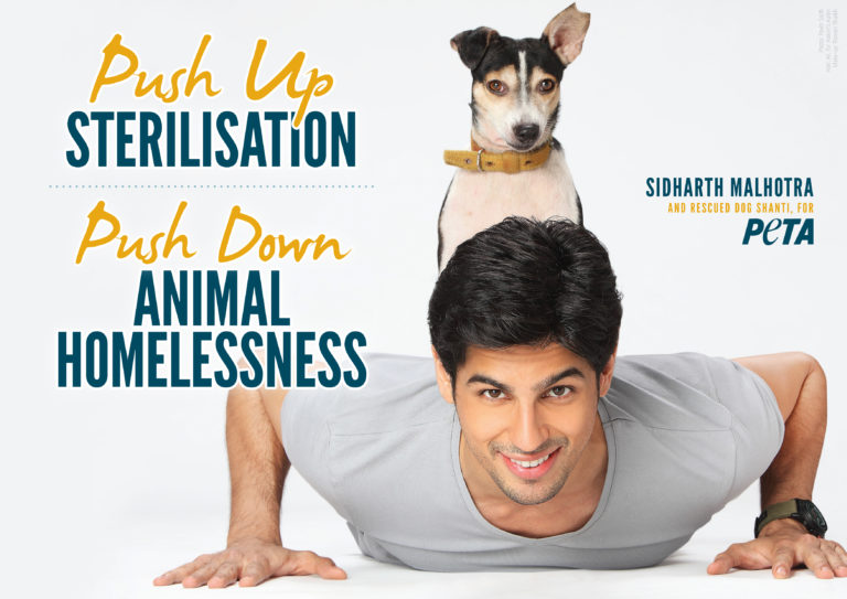 Coz animals need more teeth