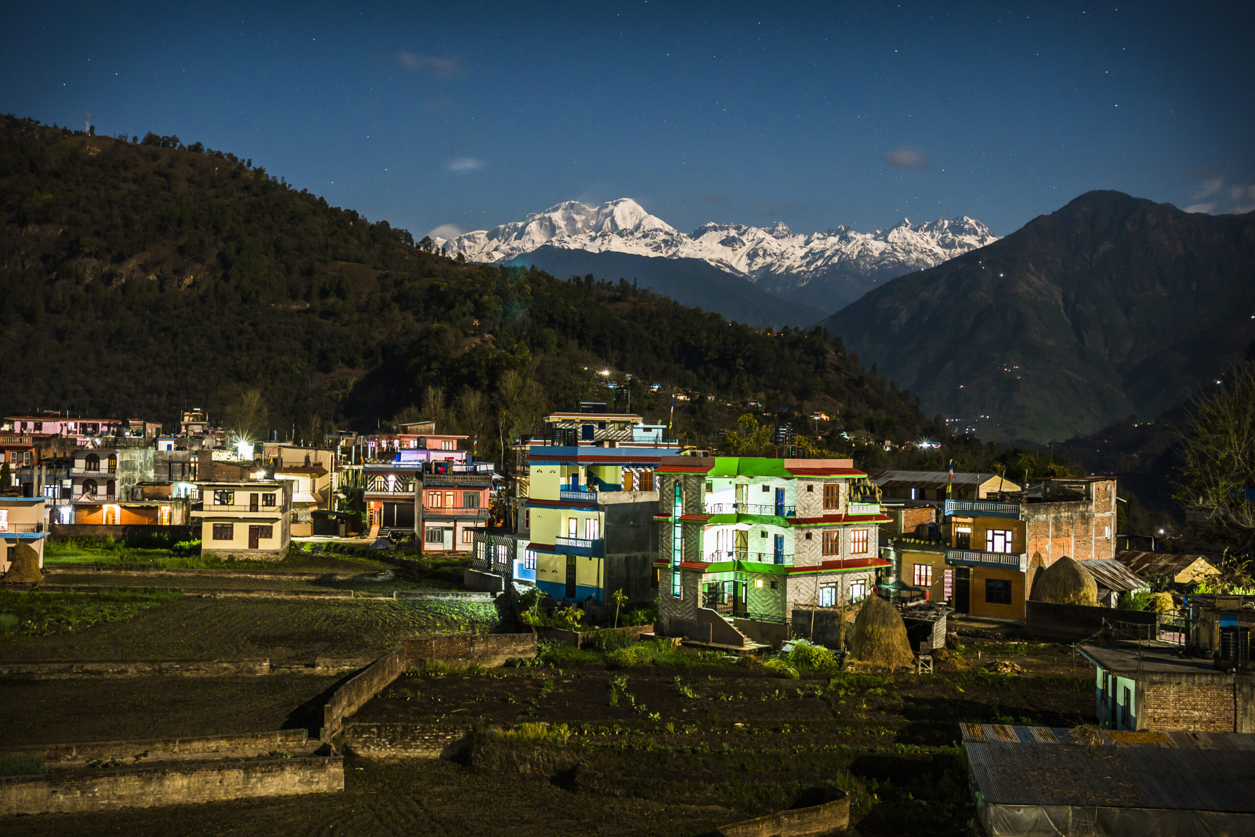 Reviving Nature’s Bounty: A Call to Preserve Uttarakhand’s Ecosystem