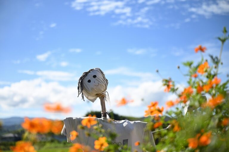 Who’s Jack and Who’s the Beanstalk? Farmers, AI and the planet!